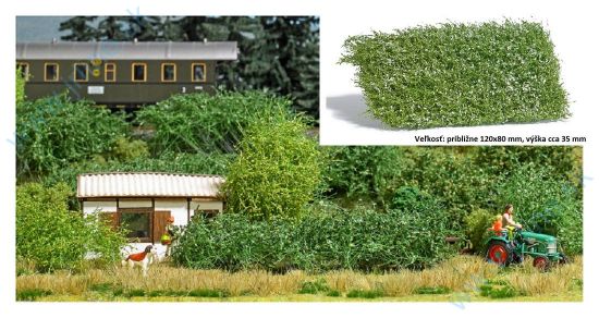 Obrázok pre 56/3595 Kríky s bielymi kvetmi*120x80