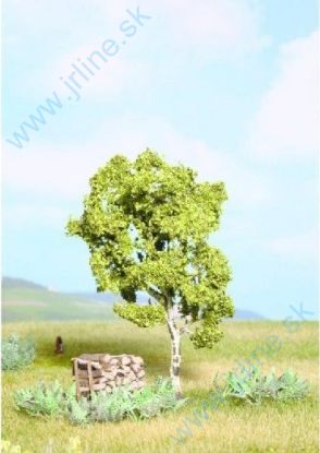 Obrázok pre 54/21640 Breza   * 11.5cm *