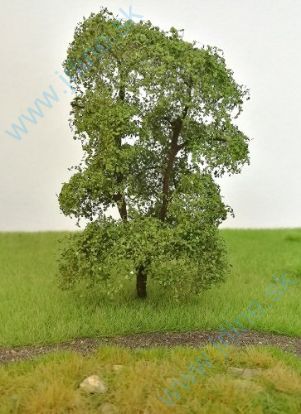 Obrázok pre 533/01-10 1ks*Listnatý strom 10 cm