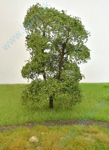 Obrázok pre 533/01-10 1ks*Listnatý strom 10 cm