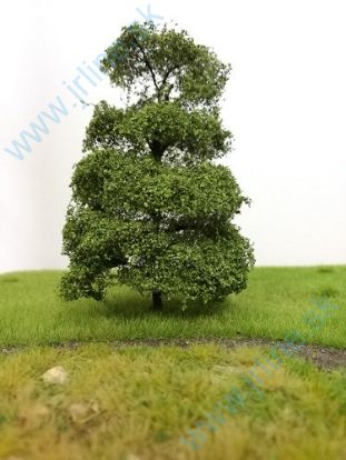 Obrázok pre 533/01-12 1ks * Listnatý strom 11,5 cm
