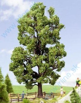 Obrázok pre 54/21802 Gaštan   *  18,5cm