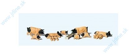 Obrázok pre 80/10149 Schwabisch - Ošípané