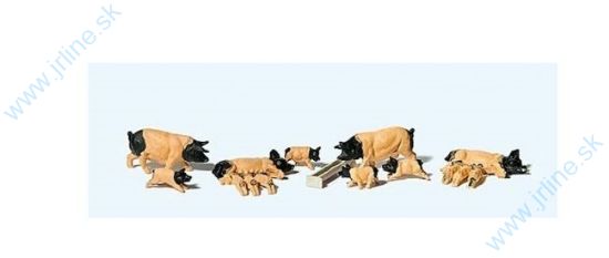 Obrázok pre 80/10149 Schwabisch - Ošípané