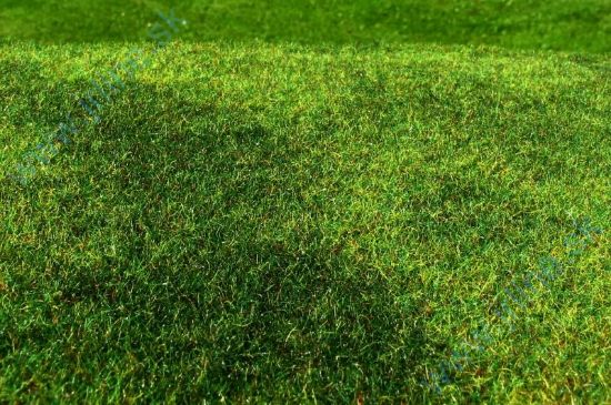 Obrázok pre 44/F002 Sečená louka časné léto