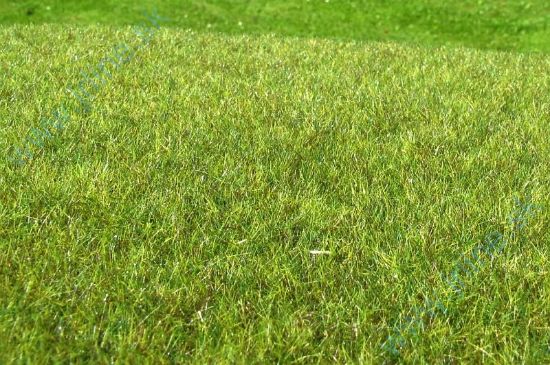 Obrázok pre 44/F011 Mokřad střední