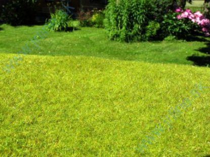 Obrázok pre 44/F021 Nesečená louka jarní