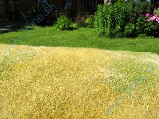 Obrázok pre 44/F023 Nesečená louka pozdní léto