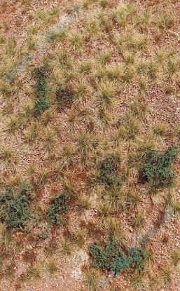 Obrázok pre 44/F340 Poušť San Pedro