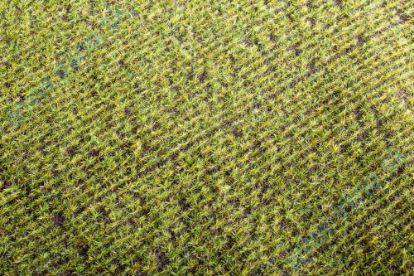 Obrázok pre 44/F401 Jarní pole