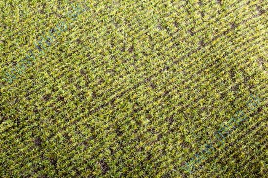 Obrázok pre 44/F401 Jarní pole