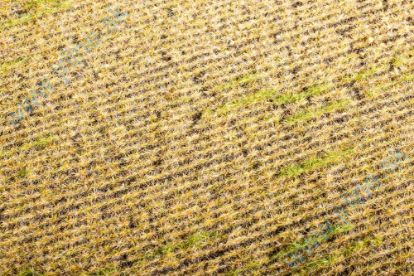 Obrázok pre 44/F403 Strniště