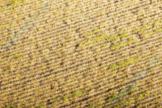 Obrázok pre 44/F403 Strniště