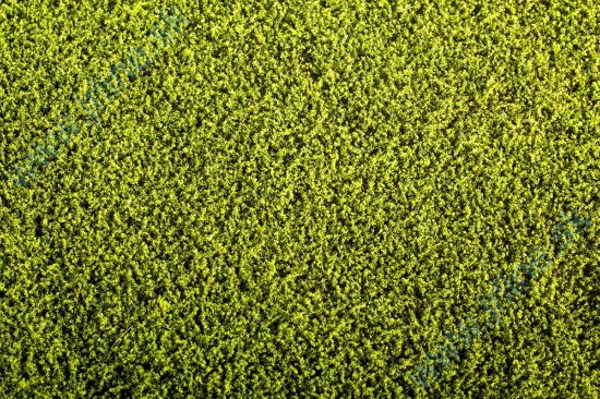 Obrázok pre 44/F440 Vojtěška