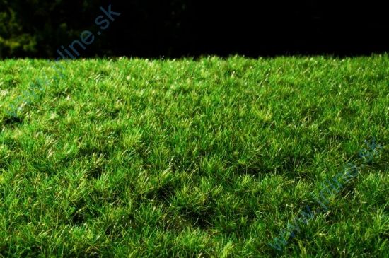 Obrázok pre 44/F515 Drny tmavé