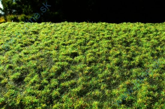 Obrázok pre 44/F516 Drny malé jarní