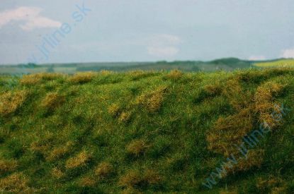 Obrázok pre 44/F522 Neudržovaná louka časné léto
