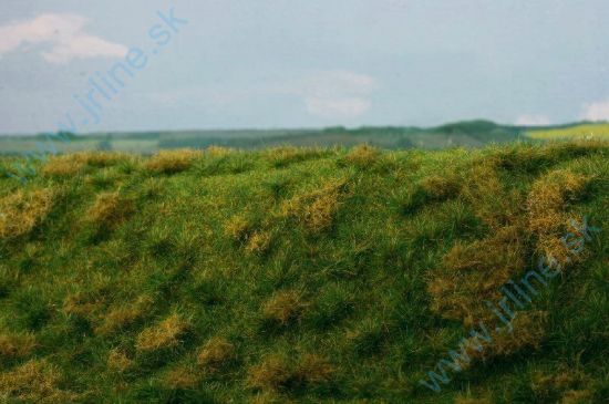 Obrázok pre 44/F522 Neudržovaná louka časné léto
