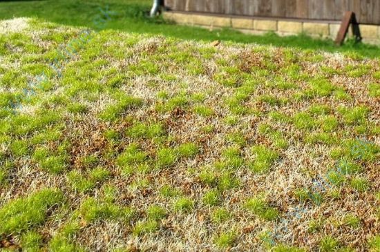 Obrázok pre 44/F531 Step jarní