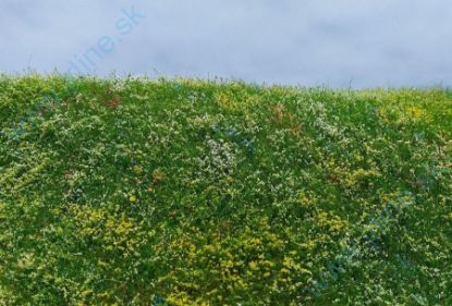 Obrázok pre 44/F562 Kvetoucí louka - časné léto