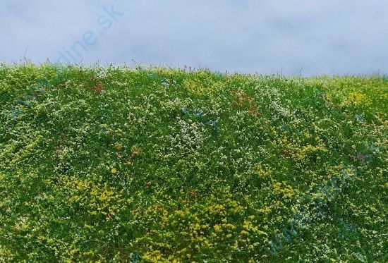 Obrázok pre 44/F562 Kvetoucí louka - časné léto