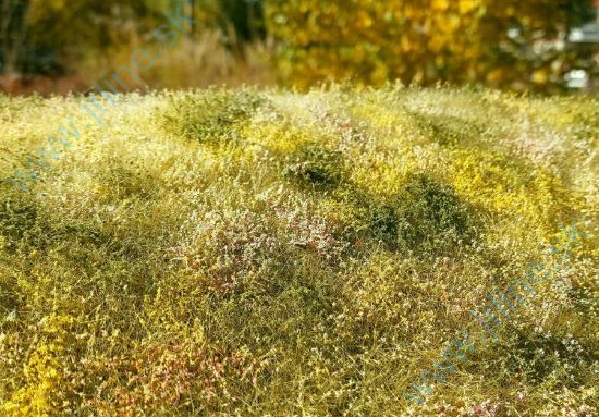 Obrázok pre 44/F563 Kvetoucí louka - pozdní léto