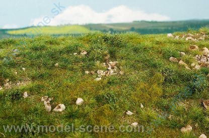 Obrázok pre 44/F722 Časné léto - vápencové kameny