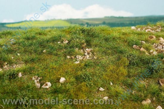 Obrázok pre 44/F722 Časné léto - vápencové kameny