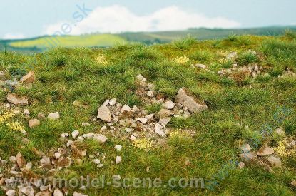 Obrázok pre 44/F732 Časné léto - vápencové kameny