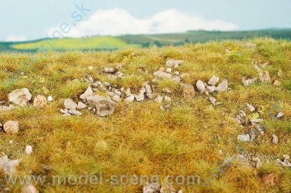 Obrázok pre 44/F733 Pozdní léto - vápencové kameny