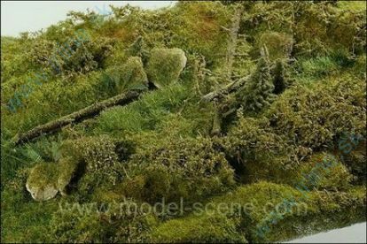 Obrázok pre 44/F801 Lesní prameniště