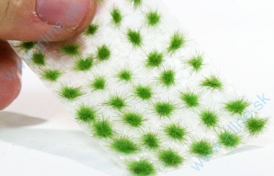 Obrázok pre 44/050-21S Drny malé - jarní