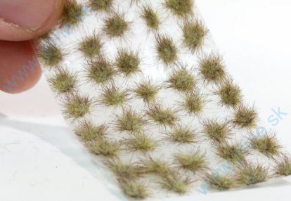 Obrázok pre 44/050-24S Drny malé - časný podzim