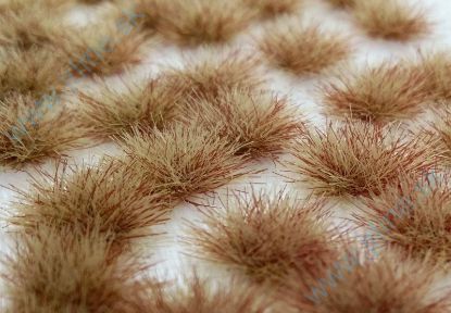 Obrázok pre 44/050-44S Drny dvoubarevné - časný podzi