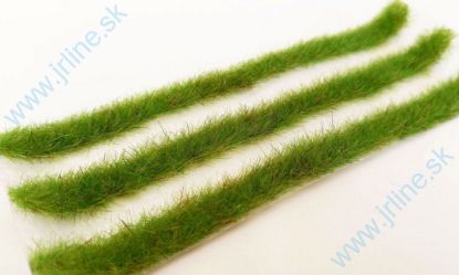 Obrázok pre 44/058-41S Travní pásy - jarní