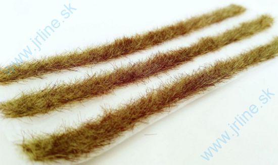 Obrázok pre 44/058-44S Travní pásy - časný podzim