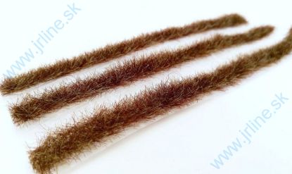 Obrázok pre 44/058-45S Travní pásy - pozdní podzim