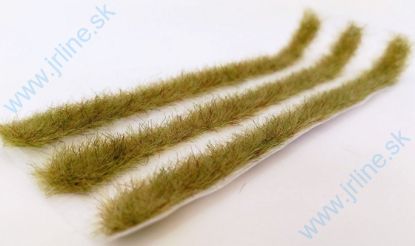 Obrázok pre 44/058-47S Travní pásy - béžové