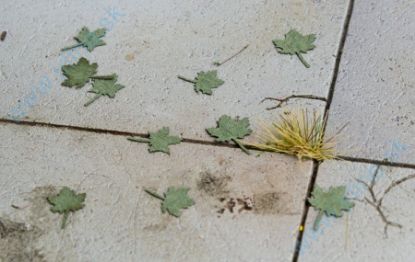 Obrázok pre 44/L3-001 Javor - zelený 1:35