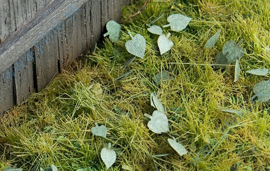 Obrázok pre 44/L3-003 Lípa - zelená