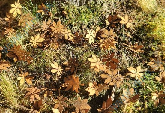 Obrázok pre 44/L3-107 Kaštan listy extra 1:35