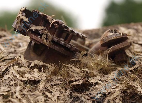 Obrázok pre 44/L3-302 Dub - shnilé listí