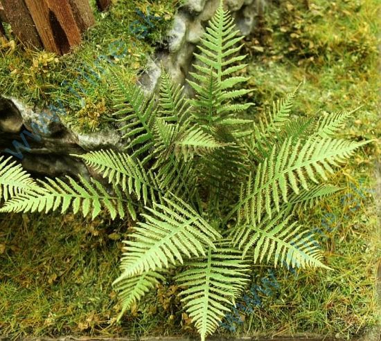 Obrázok pre 44/VG3-001 Kapradí 1:35