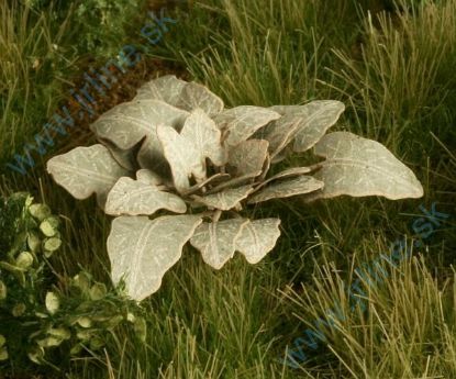 Obrázok pre 44/VG3-002 Lopuchy 1:35