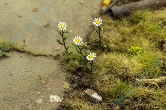 Obrázok pre 44/VG3-046 Kopretina 1:35