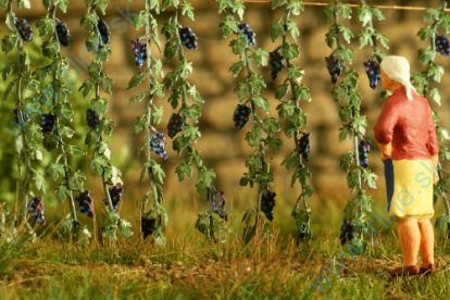 Obrázok pre 44/VG7-222 Vinná réva 1:72 / 1:87