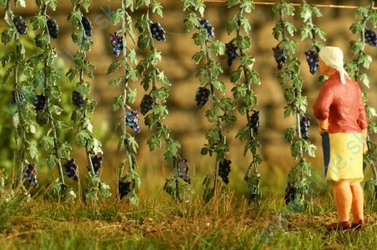 Obrázok pre 44/VG7-222 Vinná réva 1:72 / 1:87