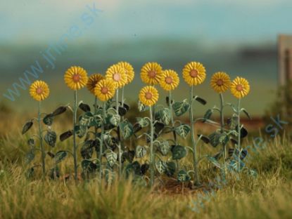 Obrázok pre 44/VG7-224 Slunečnice 1:72 / 1:87