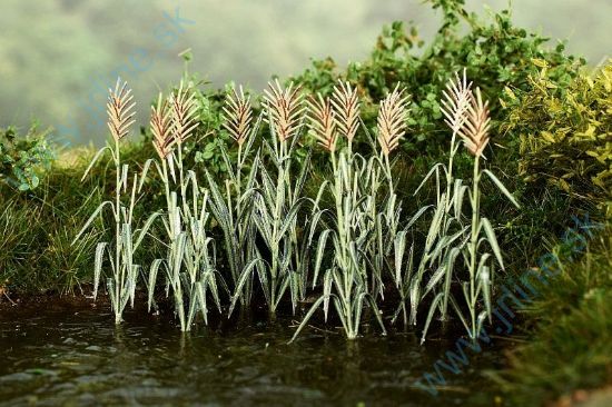 Obrázok pre 44/VG7-225 Rákos kvetoucí 1:72 / 1:87