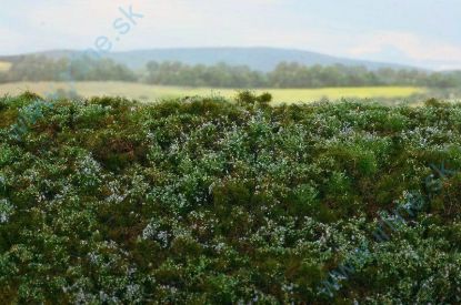 Obrázok pre 44/F620-S Lesní základ - borůvkoviště -